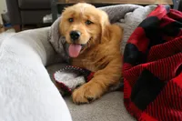 processed/2a8b6e2d-481e-446f-a104-e5b68718db80/facility/a4f78d00-a428-498a-a4a8-399972b6dccc