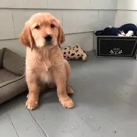 processed/2a8b6e2d-481e-446f-a104-e5b68718db80/facility/b9923cc7-7330-41df-8e73-e07db319fab4