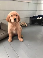 processed/2a8b6e2d-481e-446f-a104-e5b68718db80/facility/b9923cc7-7330-41df-8e73-e07db319fab4