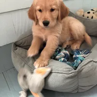 processed/2a8b6e2d-481e-446f-a104-e5b68718db80/facility/d71c1762-2f3c-4c03-9abe-74ad7f0a0075