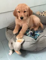 processed/2a8b6e2d-481e-446f-a104-e5b68718db80/facility/d71c1762-2f3c-4c03-9abe-74ad7f0a0075