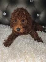 processed/2a97c24d-0760-4706-97d7-5cd6ed88cb64/listing/3982b535-a4f7-4072-94c7-e2339ea3991e/4fb9de21-664b-4416-a613-08d9a233986f