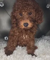 processed/2a97c24d-0760-4706-97d7-5cd6ed88cb64/listing/3982b535-a4f7-4072-94c7-e2339ea3991e/ae7fbeb1-e47b-4fef-a876-b971e6877551