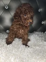 processed/2a97c24d-0760-4706-97d7-5cd6ed88cb64/listing/3982b535-a4f7-4072-94c7-e2339ea3991e/f270df41-a09f-475b-a42d-d2697bd9fbe8