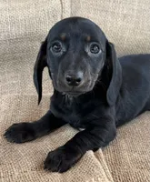 processed/2a9bb195-41ad-448e-b38c-e9b065eb2461/listing/fac2ce2d-3f6a-43b4-bd67-9bf7e64f0215/00f0a50e-69e1-4bc4-814b-0bfbde721cb4