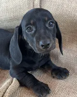 processed/2a9bb195-41ad-448e-b38c-e9b065eb2461/listing/fac2ce2d-3f6a-43b4-bd67-9bf7e64f0215/2448ebad-3067-498e-8a0b-eb164ef3797b