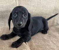 processed/2a9bb195-41ad-448e-b38c-e9b065eb2461/listing/fac2ce2d-3f6a-43b4-bd67-9bf7e64f0215/25827dea-51ca-470b-b2c4-1e481471cc1a