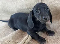 processed/2a9bb195-41ad-448e-b38c-e9b065eb2461/listing/fac2ce2d-3f6a-43b4-bd67-9bf7e64f0215/7fbbb172-0d30-4977-bec1-cab65b798efe