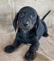 processed/2a9bb195-41ad-448e-b38c-e9b065eb2461/listing/fac2ce2d-3f6a-43b4-bd67-9bf7e64f0215/a511c303-1205-4e8f-a3a8-4d706c369431