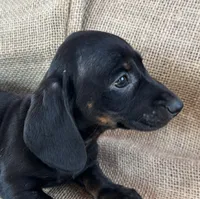 processed/2a9bb195-41ad-448e-b38c-e9b065eb2461/listing/fac2ce2d-3f6a-43b4-bd67-9bf7e64f0215/d6a2bc4f-b24c-4523-91ad-a78cb108e3d9