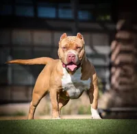 processed/2a9e4f47-42e7-41e5-8340-b6c5c83dc3c4/listing/fec92f05-766c-4523-b681-fa2f953616c5/1f914819-4d93-4be0-a13a-1abe08ba56c4