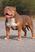 processed/2a9e4f47-42e7-41e5-8340-b6c5c83dc3c4/listing/fec92f05-766c-4523-b681-fa2f953616c5/612bbc7d-f733-4fc3-adb5-2042f01ee4ff