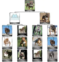 processed/2a9e4f47-42e7-41e5-8340-b6c5c83dc3c4/listing/fec92f05-766c-4523-b681-fa2f953616c5/95f88c5b-ce1b-4d9f-9ab0-717fbf17d87d