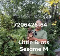 processed/2aa4efc9-8c6a-41fb-a015-5948e2e9cca2/facility/1a87e318-da8e-41fd-9db6-1009cee6b0f1