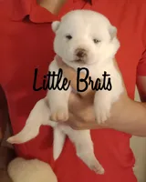 processed/2aa4efc9-8c6a-41fb-a015-5948e2e9cca2/facility/1fd91574-bd0a-4987-b5a7-9c66c17afb14