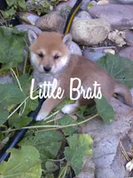 processed/2aa4efc9-8c6a-41fb-a015-5948e2e9cca2/facility/2cb308f4-f210-4b1d-b5aa-bf56a02682e2