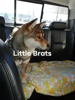 processed/2aa4efc9-8c6a-41fb-a015-5948e2e9cca2/facility/4f4a80cf-db12-4bb6-9051-67f549babc2c