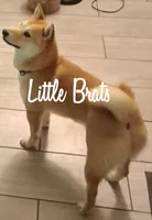 processed/2aa4efc9-8c6a-41fb-a015-5948e2e9cca2/facility/4fb9c4b5-9935-4bc9-805b-03befdd5cd9f