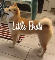 processed/2aa4efc9-8c6a-41fb-a015-5948e2e9cca2/facility/cdc9b6e5-7920-4b1b-ac89-8642f5a95719