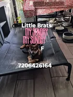 processed/2aa4efc9-8c6a-41fb-a015-5948e2e9cca2/listing/d2c4e245-6a07-4464-90f5-1010df0a9a0c/33d18ae9-b710-45e6-bf11-de344aa03881