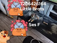 processed/2aa4efc9-8c6a-41fb-a015-5948e2e9cca2/listing/d2c4e245-6a07-4464-90f5-1010df0a9a0c/54eeceee-33f2-4bc3-aaf7-b1ac2f0925fb