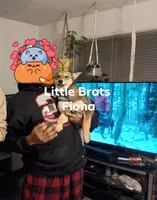 Sesame Goma Fiona, a female Shiba Inu for sale in Colorado Springs, CO – Photo 7 of 7