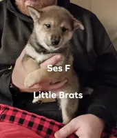 processed/2aa4efc9-8c6a-41fb-a015-5948e2e9cca2/listing/d2c4e245-6a07-4464-90f5-1010df0a9a0c/9b6e8e0e-41b1-438b-aa2c-087214c7798c