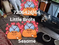 processed/2aa4efc9-8c6a-41fb-a015-5948e2e9cca2/listing/d2c4e245-6a07-4464-90f5-1010df0a9a0c/dfb71f3e-7350-413e-b8bf-51070e513607