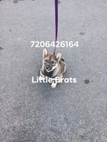 processed/2aa4efc9-8c6a-41fb-a015-5948e2e9cca2/listing/f8b11a47-d126-4a6d-bb70-e30b40c7e733/15b67ac7-940c-450d-a957-d5f18878a9bf