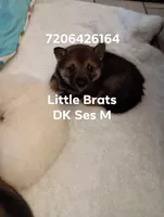 processed/2aa4efc9-8c6a-41fb-a015-5948e2e9cca2/listing/f8b11a47-d126-4a6d-bb70-e30b40c7e733/1a351b6a-d3ff-494d-8f8d-c53c693f880b