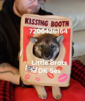 processed/2aa4efc9-8c6a-41fb-a015-5948e2e9cca2/listing/f8b11a47-d126-4a6d-bb70-e30b40c7e733/75897edf-3fdf-4989-8d60-32db906306ba