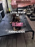 processed/2aa4efc9-8c6a-41fb-a015-5948e2e9cca2/listing/f8b11a47-d126-4a6d-bb70-e30b40c7e733/7ba5eeb7-bfaf-4110-83ba-6b10a4ae905e