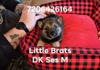 processed/2aa4efc9-8c6a-41fb-a015-5948e2e9cca2/listing/f8b11a47-d126-4a6d-bb70-e30b40c7e733/acf9652a-6c6b-418e-9ba4-175fbadb2895