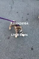 processed/2aa4efc9-8c6a-41fb-a015-5948e2e9cca2/listing/f8b11a47-d126-4a6d-bb70-e30b40c7e733/c323478b-4928-4df4-b670-513573012b06