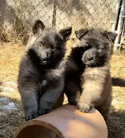 processed/2aab1a24-4a53-4bd8-bbc5-9d0e02a0b4ee/facility/0ea76706-e538-4a57-99c4-2b0dbbd6702e