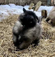 processed/2aab1a24-4a53-4bd8-bbc5-9d0e02a0b4ee/facility/17097781-e806-4c2f-9032-ea5a888302d3