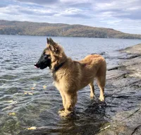 processed/2aab1a24-4a53-4bd8-bbc5-9d0e02a0b4ee/facility/a79301d0-c886-42c4-9ecd-692cb39563f3