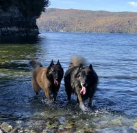 processed/2aab1a24-4a53-4bd8-bbc5-9d0e02a0b4ee/facility/aa5f81d6-e1fa-42a4-aff0-0210c55d10f0