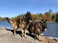 processed/2aab1a24-4a53-4bd8-bbc5-9d0e02a0b4ee/facility/e8c6bfb0-3fe5-4df6-ab04-60bc2aa187cd