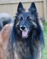 processed/2aab1a24-4a53-4bd8-bbc5-9d0e02a0b4ee/facility/f868230f-6cea-4d84-aa35-d691580e5117