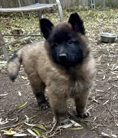 processed/2aab1a24-4a53-4bd8-bbc5-9d0e02a0b4ee/listing/8125fc58-9e3e-471a-8116-7ce27c33dff2/0354ebbe-9026-478c-b167-0bfdc7f77289