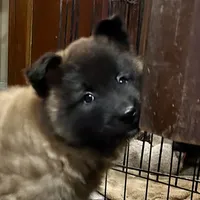 processed/2aab1a24-4a53-4bd8-bbc5-9d0e02a0b4ee/listing/8125fc58-9e3e-471a-8116-7ce27c33dff2/54e85436-e41d-4011-83a9-a094fa3abce6