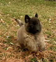 processed/2aab1a24-4a53-4bd8-bbc5-9d0e02a0b4ee/listing/8125fc58-9e3e-471a-8116-7ce27c33dff2/9da32f8a-6c07-4c63-9321-3ae63e48f5ba