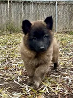 processed/2aab1a24-4a53-4bd8-bbc5-9d0e02a0b4ee/listing/8125fc58-9e3e-471a-8116-7ce27c33dff2/b39563be-16a4-4e84-9198-44cfc817bd81