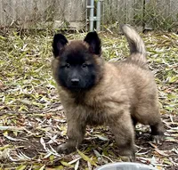 processed/2aab1a24-4a53-4bd8-bbc5-9d0e02a0b4ee/listing/8125fc58-9e3e-471a-8116-7ce27c33dff2/f98a0b24-9783-4da6-aa43-18f1b4e724eb