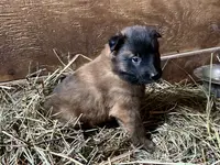 processed/2aab1a24-4a53-4bd8-bbc5-9d0e02a0b4ee/listing/be73d6d0-87ab-4c8e-8130-2f56bde38e76/01f1b554-8c4b-4f9b-9914-eb2237353f08