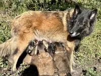 processed/2aab1a24-4a53-4bd8-bbc5-9d0e02a0b4ee/listing/be73d6d0-87ab-4c8e-8130-2f56bde38e76/1012f656-69ac-428e-b27f-28831ff2fe54