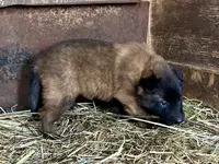 processed/2aab1a24-4a53-4bd8-bbc5-9d0e02a0b4ee/listing/be73d6d0-87ab-4c8e-8130-2f56bde38e76/2295a0a4-17c4-4d23-9123-8ec321156317