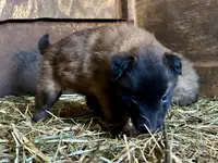 processed/2aab1a24-4a53-4bd8-bbc5-9d0e02a0b4ee/listing/be73d6d0-87ab-4c8e-8130-2f56bde38e76/37b189e6-a82c-4208-a012-74e9913a4115