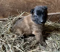 processed/2aab1a24-4a53-4bd8-bbc5-9d0e02a0b4ee/listing/be73d6d0-87ab-4c8e-8130-2f56bde38e76/415527f5-16e3-4b42-99dc-a22325f922b8